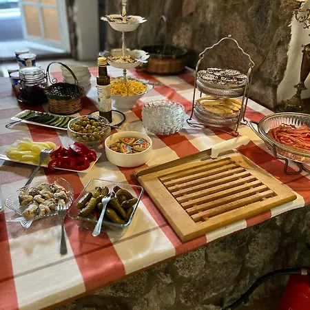 Hotel apartamentowy Dedek Park - Dworek W Pięknym Parku Skaryszewskim Obok Stadionu Narodowego Warszawa
