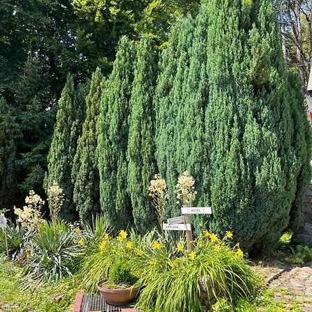 Dedek Park - Historyczny Dworek W Pieknym Parku Skaryszewskim Obok Stadionu Narodowego 3*