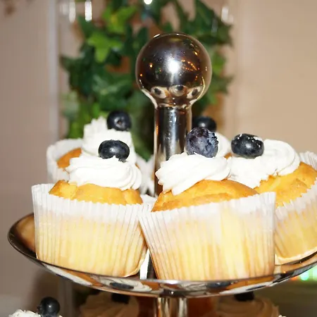 Dedek Park - Historyczny Dworek W Pieknym Parku Skaryszewskim Obok Stadionu Narodowego Appart hôtel