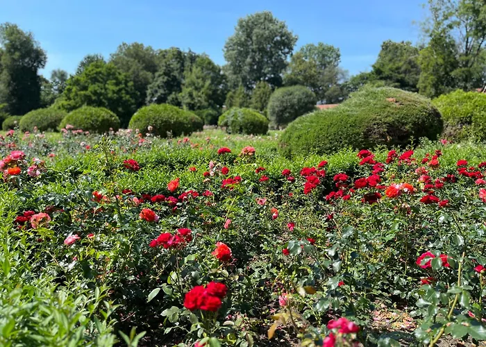 Dedek Park - Historyczny Dworek W Pieknym Parku Skaryszewskim Obok Stadionu Narodowego شقة فندقية 3*