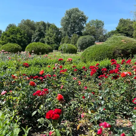 Dedek Park - Historyczny Dworek W Pieknym Parku Skaryszewskim Obok Stadionu Narodowego Aparthotel 3*